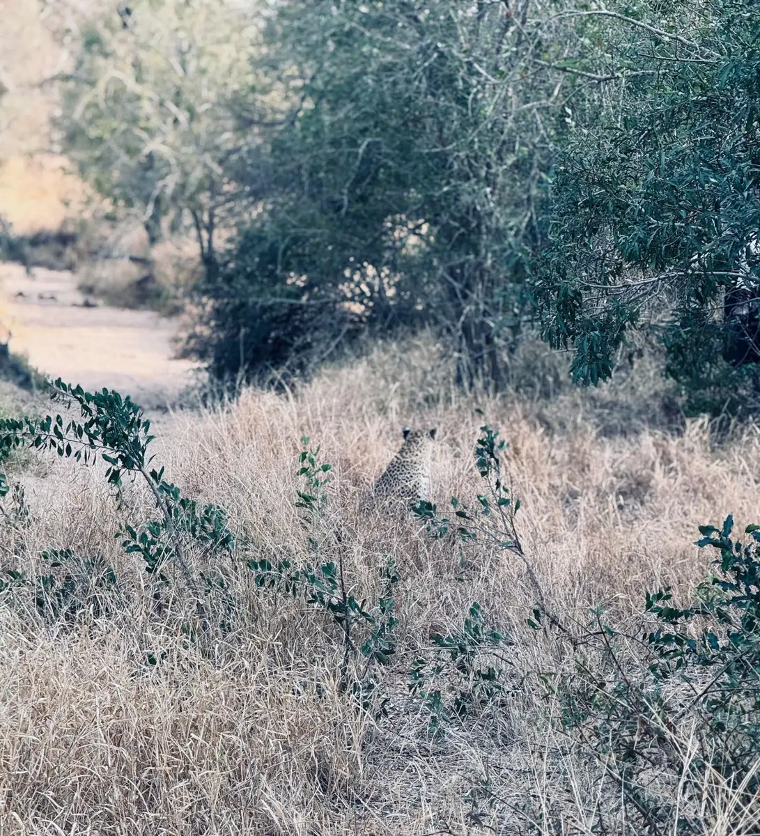 This American family is creating lifelong memories at Sabi Sabi while experiencing the very best of an African safari.